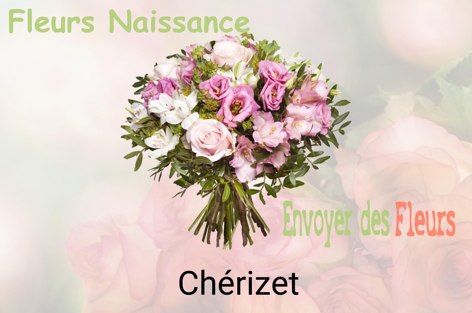 Bouquet de fleurs de naissance livré à Chérizet